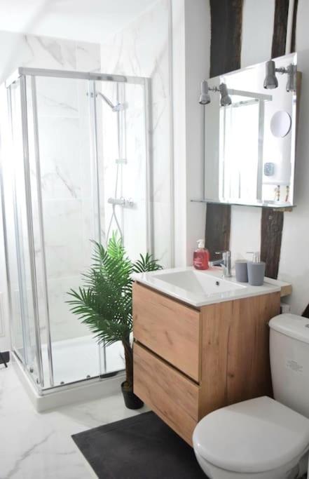Chic Et Normand, Parking Facile, Wifi Hd Apartment Pont-Audemer Exterior photo